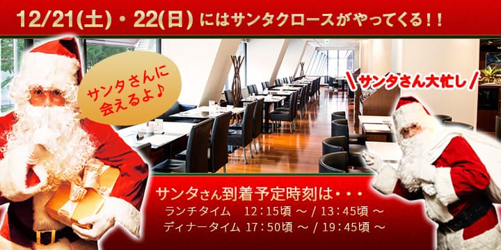 セリーナにサンタクロースがやってくる